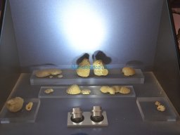 Castillo de San Juan-Aguilas 2012